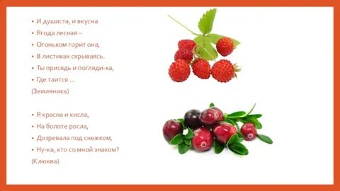 Тематическая неделя ягоды