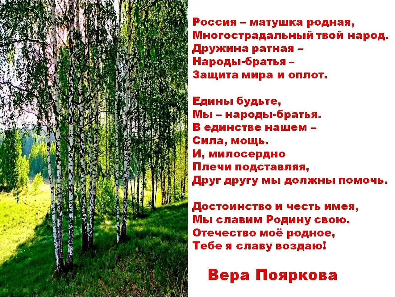 Беседа о родном. Стих про Россию. Стих родная земля. Россия Матушка стихи. Стихи о родине.