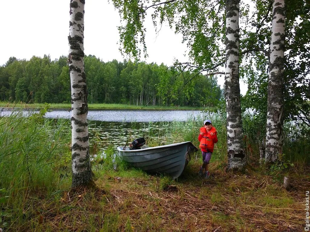 Рыбалка на вологодских озерах. Сельский туризм рыбалка. Рыболовство в Вологодской области. Экотуризм рыбалка. Вологодская область туризм.