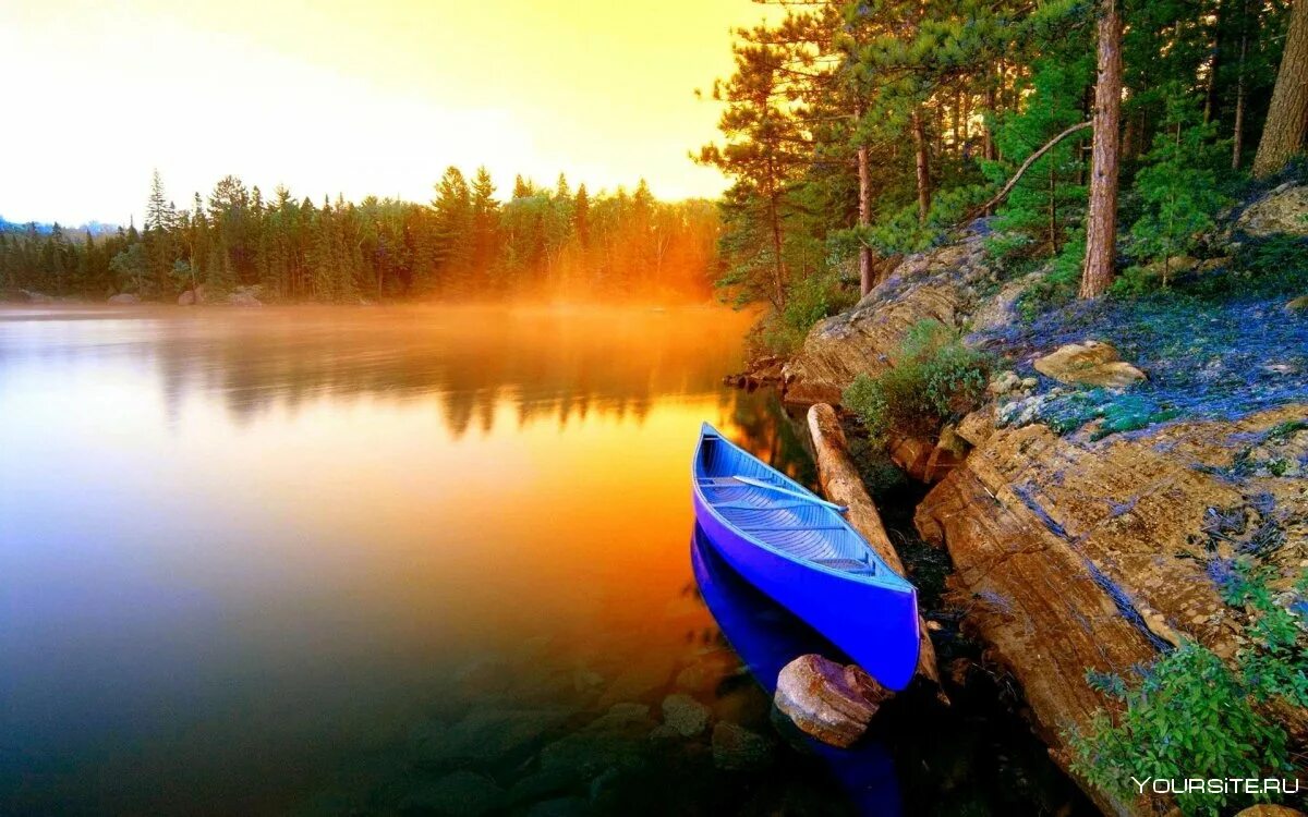 Лежнинское озеро под водой. Лес озеро рыба. Рыба в реке. Лес озеро рыба. Рыба в озере.
