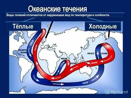 Холодное течение пришло