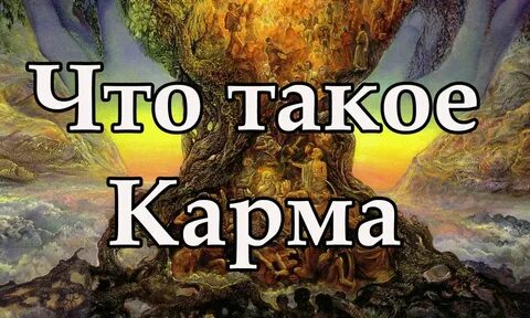 Датакарма что это такое