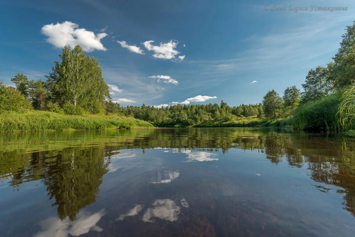 Алтайский край вологодская область. Природа Вологодской области. Река Чагодоща Вологодской области. Живописные реки Вологодской области. Природа Вологда Вологды.