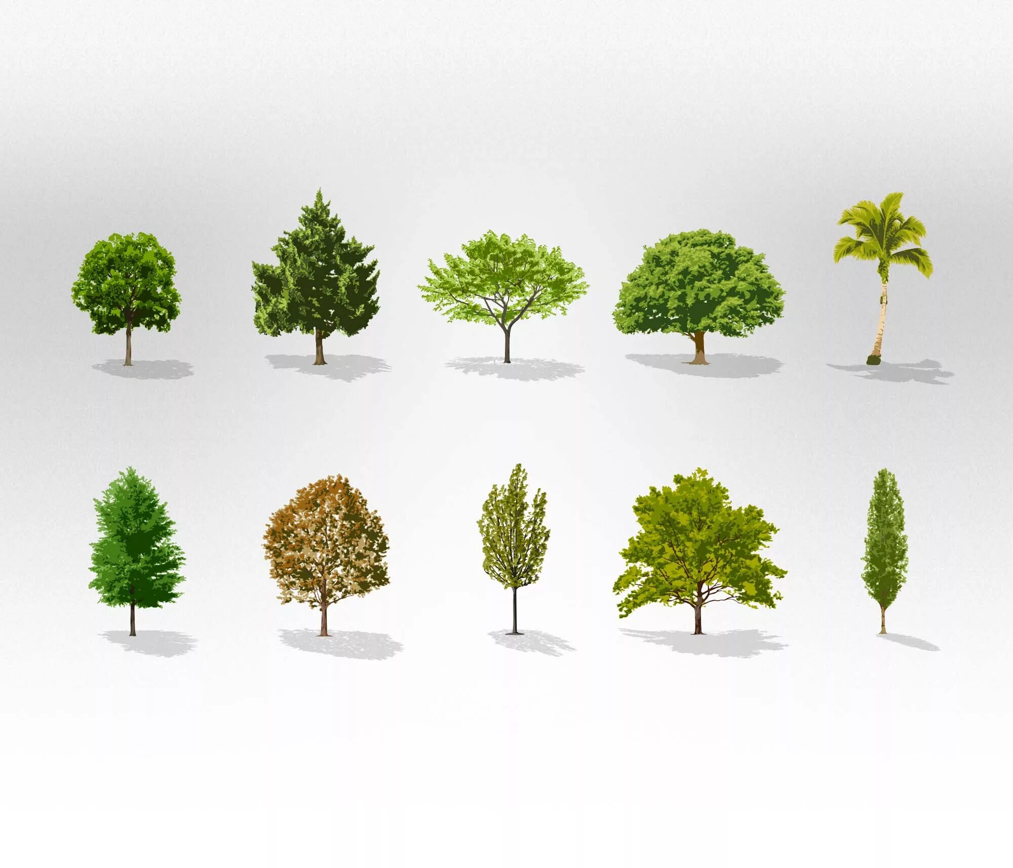 Checked trees
