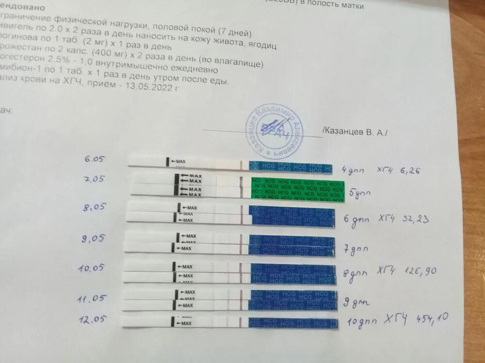 Схема криопротокола. Схема криопротокола на ЗГТ. Криопротокол в естественном цикле по дням. Схема поддержки в криопротоколе. Прогинова после переноса