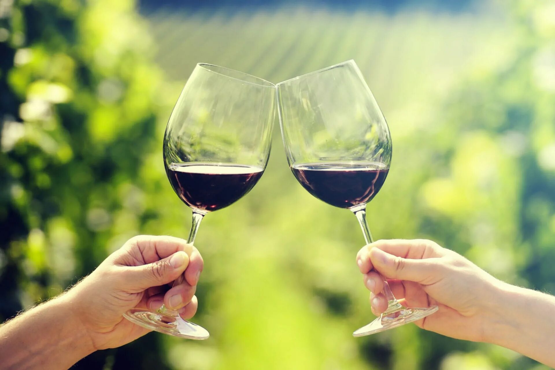 розовое минеральное вино. канделаки театр оперетты владимир. прощай вино. красное вино. вино ладога розовое.