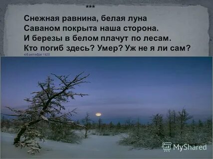 Над бесконечной снежной равниной тяжело