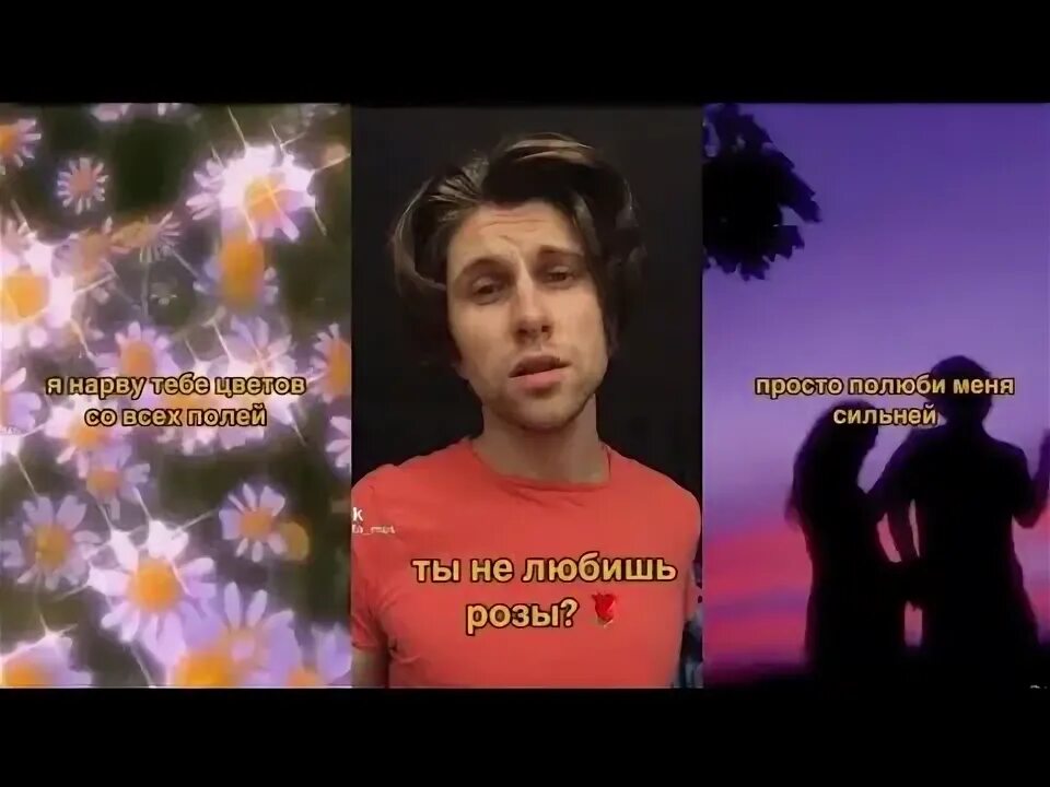 Нарвать цветов. Полюби меня сильней nikitata. Я нарву тебе цветов песни. Ты не люблю розы окей я нарву тебе цветов со всех полей эмодзи. Ты не любишь розы.