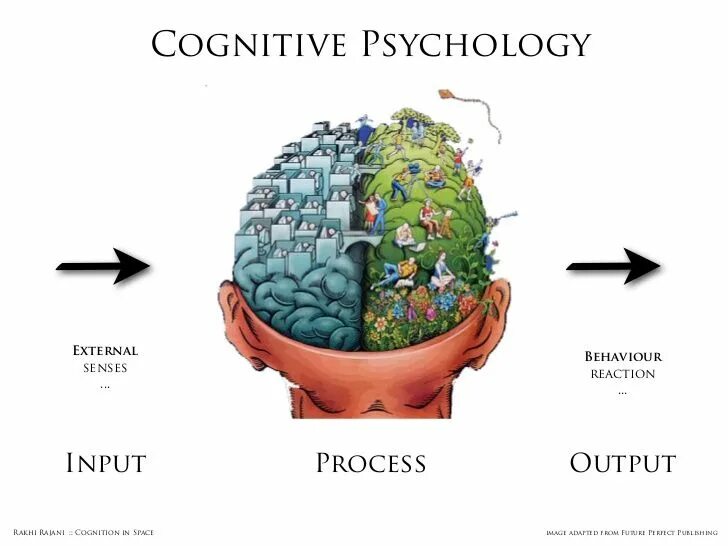 Cognitive load