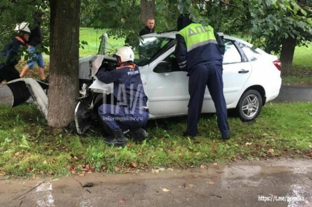 Наезд на дерево. Наезд на дерево
