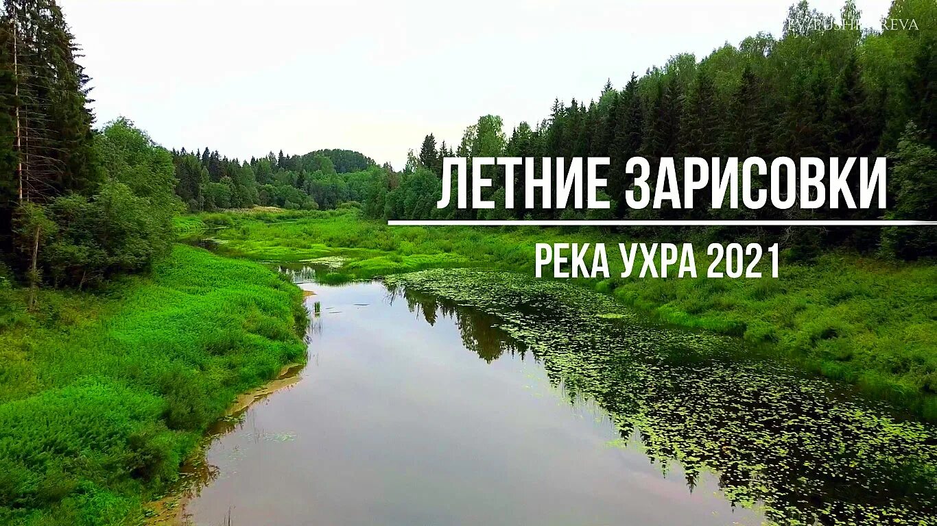 Климатические особенности июля 2021 года - Ярославский ЦГМС