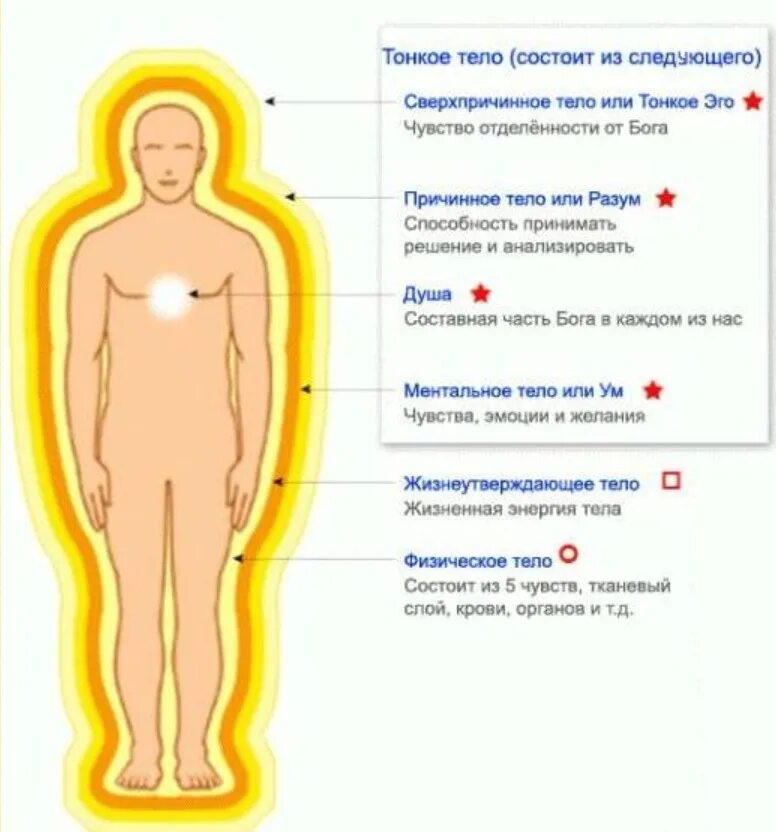 Где находится душа. Где расположена душа у человека. Где находится душа в теле. Где находится душа у человека в теле. Душа откуда она