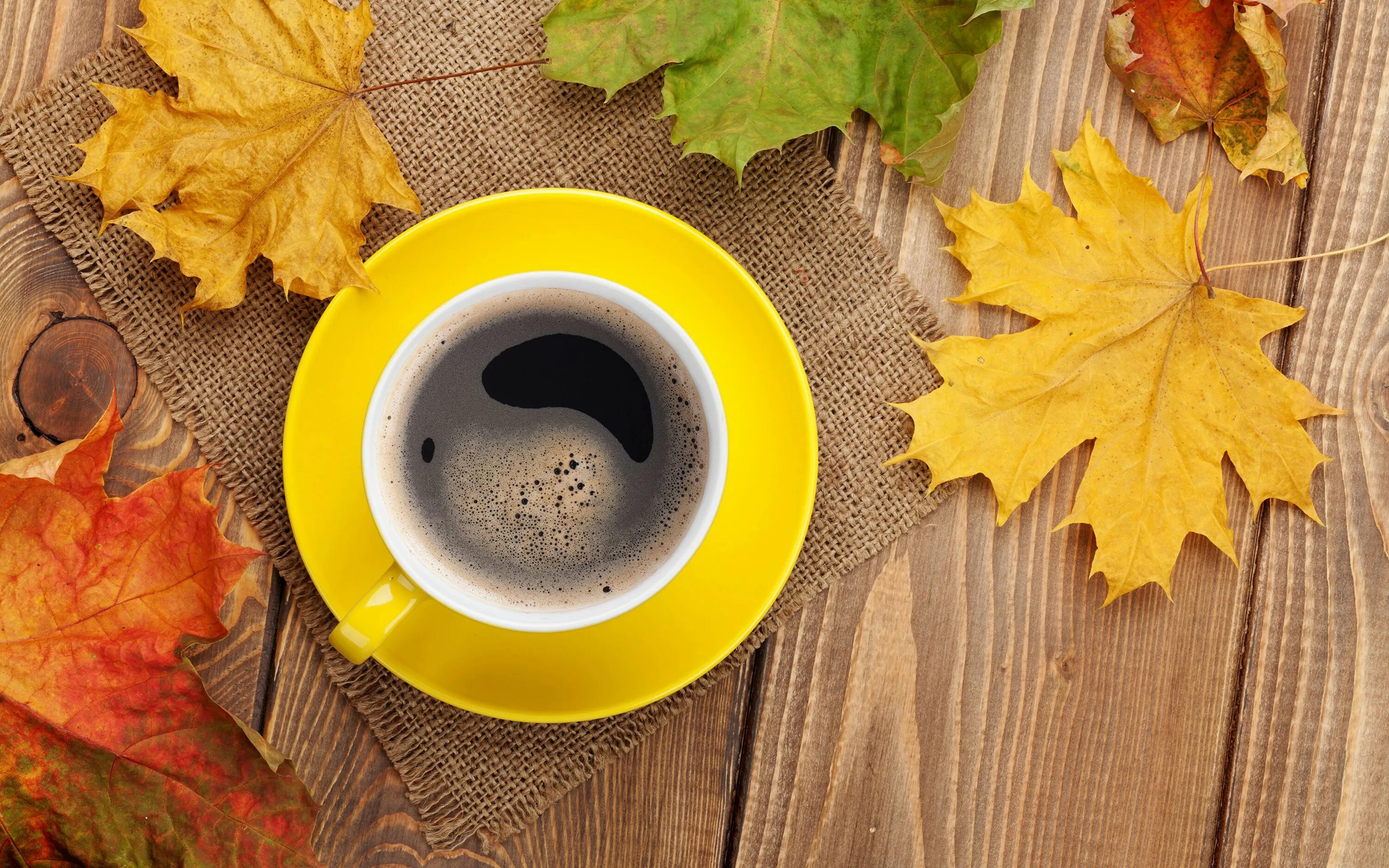 Осень кофе. Чашка кофе осень. Утро кофе осень. Осень Кружка кофе.
