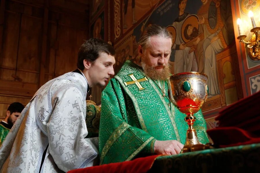 рукоположение в дьяконы. рукоположение во священника ювеналий. рукоположение во епископа. геннадий кондрашов дьякон рукоположение. диакон дмитрий попов пстгу.