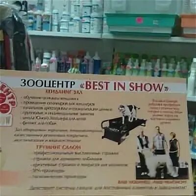 Зооцентр железногорск. Зооцентр кис москва. зооцентр кис говорово. зооцентр, новороссийск. зооцентр кунгур.