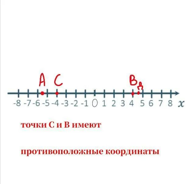 Какие из точек противоположные координаты. Точки с противоположными координатами. Противоположные координаты. Координатная прямая шаблон. Какие из точек имеют противоположные координаты.