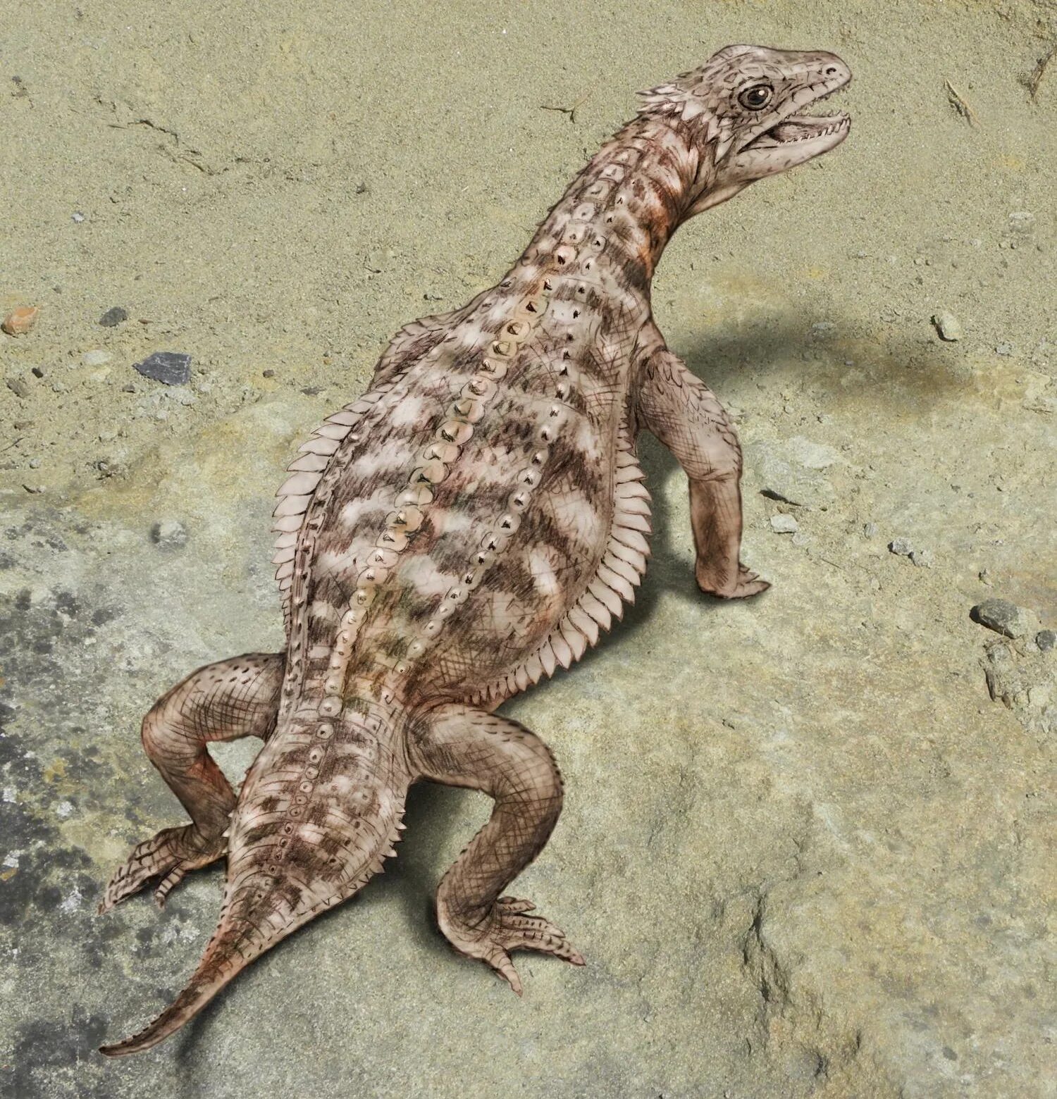 Предки современных рептилий. Eusaurosphargis dalsassoi. Древние пресмыкающиеся, древние рептилии. Ящер Диметродон. Мезозавр окаменелости.