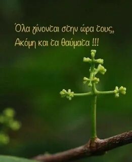 Крест природа