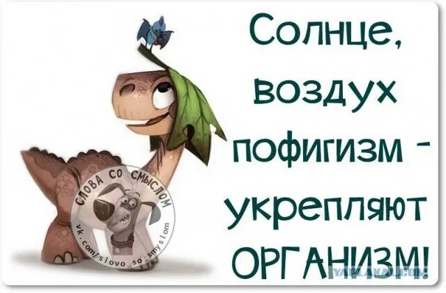 море солнце пофигизм укрепляют организм. солнце воздух укрепляют организм. солнце воздух похуизм укрепляет организм. солнце воздух пофигизм укрепляет организм. солнце воздух пофигизм.