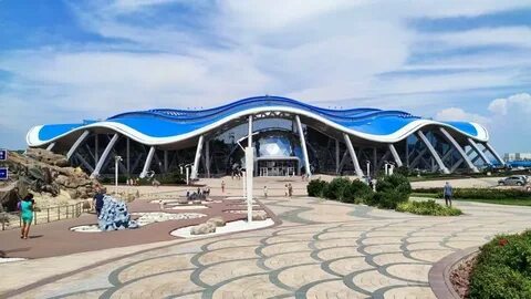 Океанариум во владивостоке на острове русском