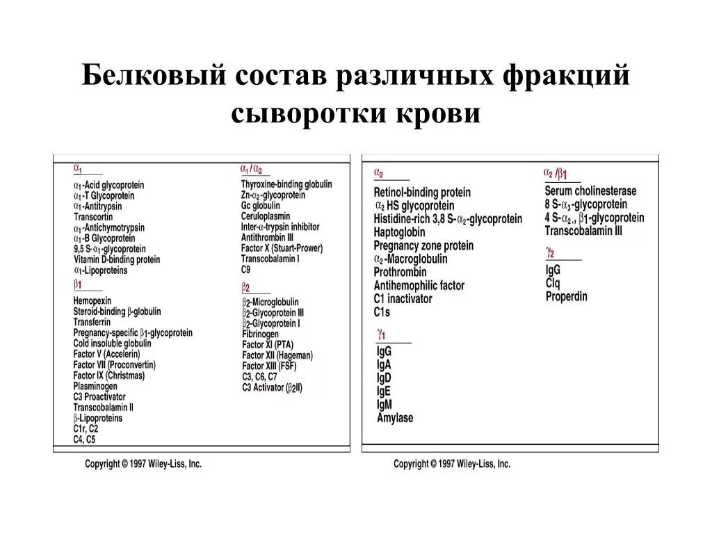 Фракции сыворотки крови. Белковые фракции крови. Белковые фракции сыворотки крови в норме. Состав белковых фракций. Фракции общего белка крови