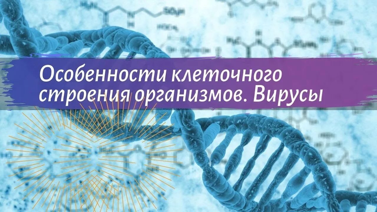Презентации по биологии 9 класс пасечник. Биология 9 класс пасечник. структура экосистем 9 класс биология пасечник. пасечник биология пищевые взаимосвязи. биология 9 класс пасечник селекция.