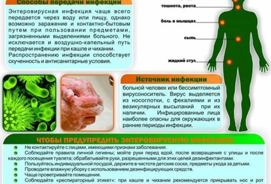 Энтеровирусная инфекция тропность. Проявления энтеровирусной инфекции. Признаки энтеровируса. Обследование на энтеровирусные инфекции