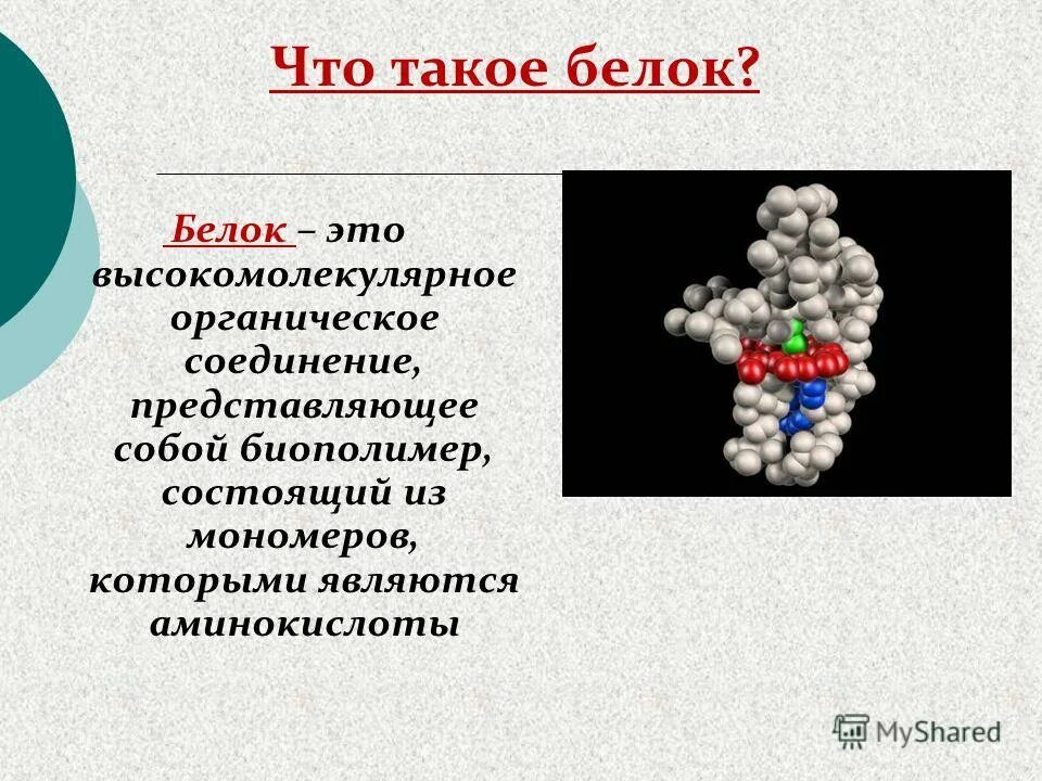 Белки. Белок органическое вещество. Белки это высокомолекулярные соединения. Что такие белки.