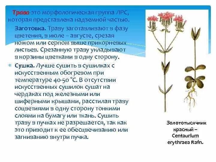 Морфологические группы лекарственного растительного сырья