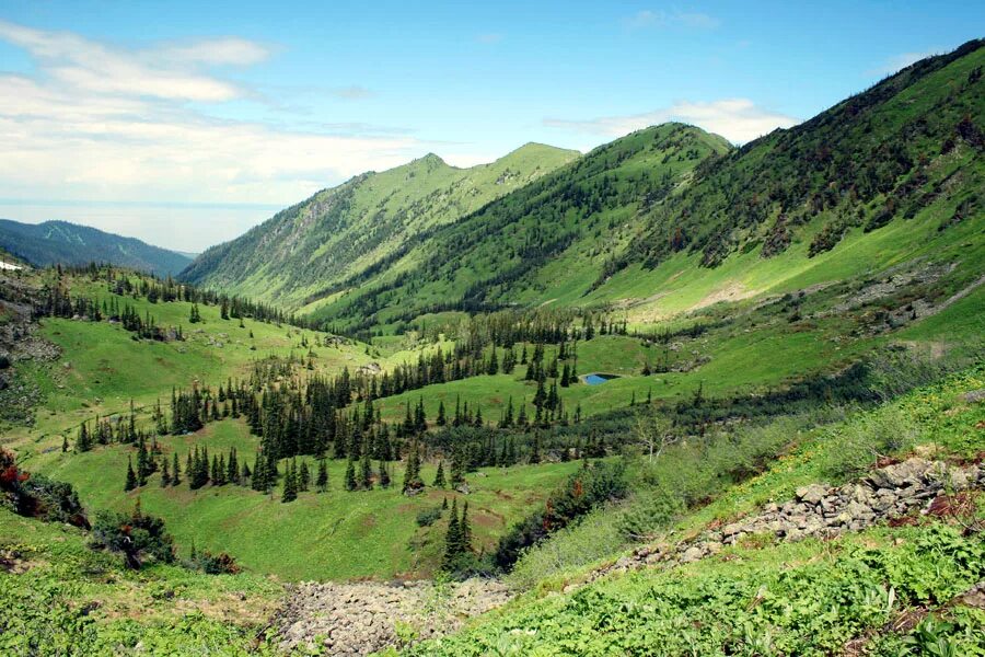 Долина реки мамай. Река мамай. Князь дмитрий куликовская битва. Мамай стоит у реки. Дмитрий донской куликовская битва.