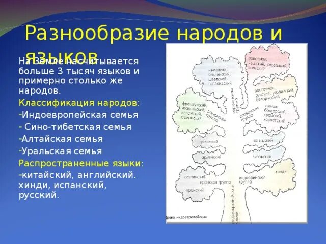 Язык народа. Народы языки и религии. Народы языки и религии 7 класс география.