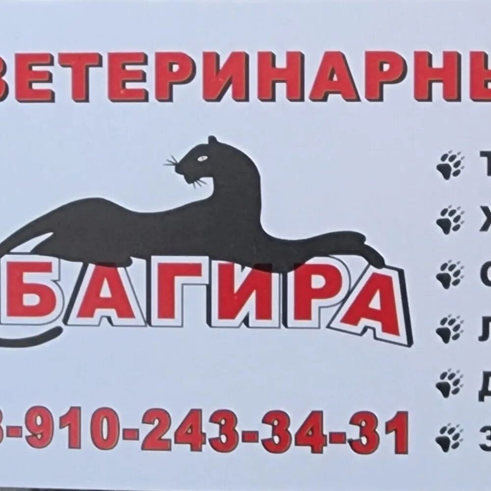 Ветклиника багира. Россошь ветклиника багира номер телефона. Ветклиника багира россошь. Ветклиника россошь телефон. Ветклиника багира.