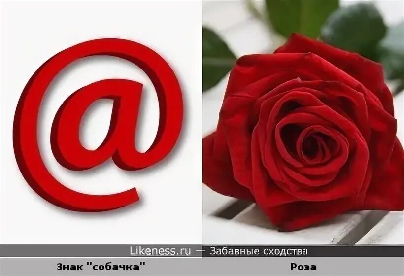 Почему символ собака назвали собакой. Компьютерный символ собака. как символ собака по-английски. какие другие значения имеет знак собака. собака символ какой страны.