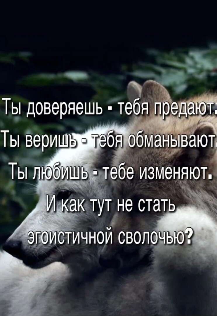 Предатель ты мне не изменил. Когда тебя предали. Доверяешь предают любишь. Люди которые предали тебя. Людям доверяешь а тебя предают.