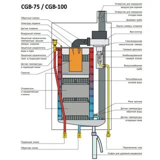 Wolf cgb 2