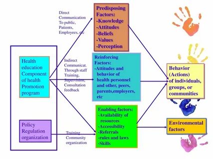 Attitudes and beliefs