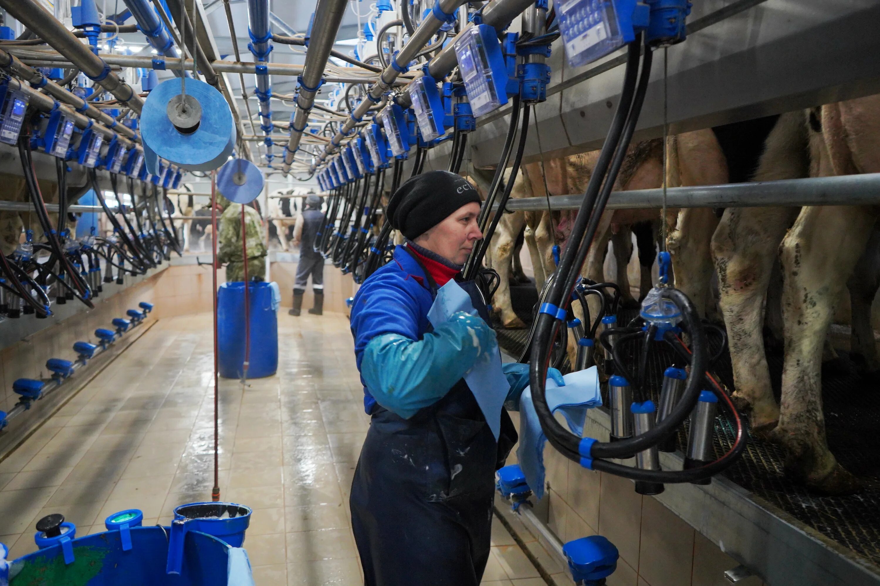 Спк рассвет. Спк рассвет уренский район. Спк рассвет. Спк рассвет адамовка. Спк рассвет гаврилов посадский район.