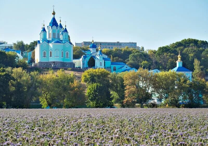 Сайт курской коренной пустыни. Коренная пустынь Курск. Курская Коренная Рождества Пресвятой Богородицы пустынь. Коренная пустынь монастырь.