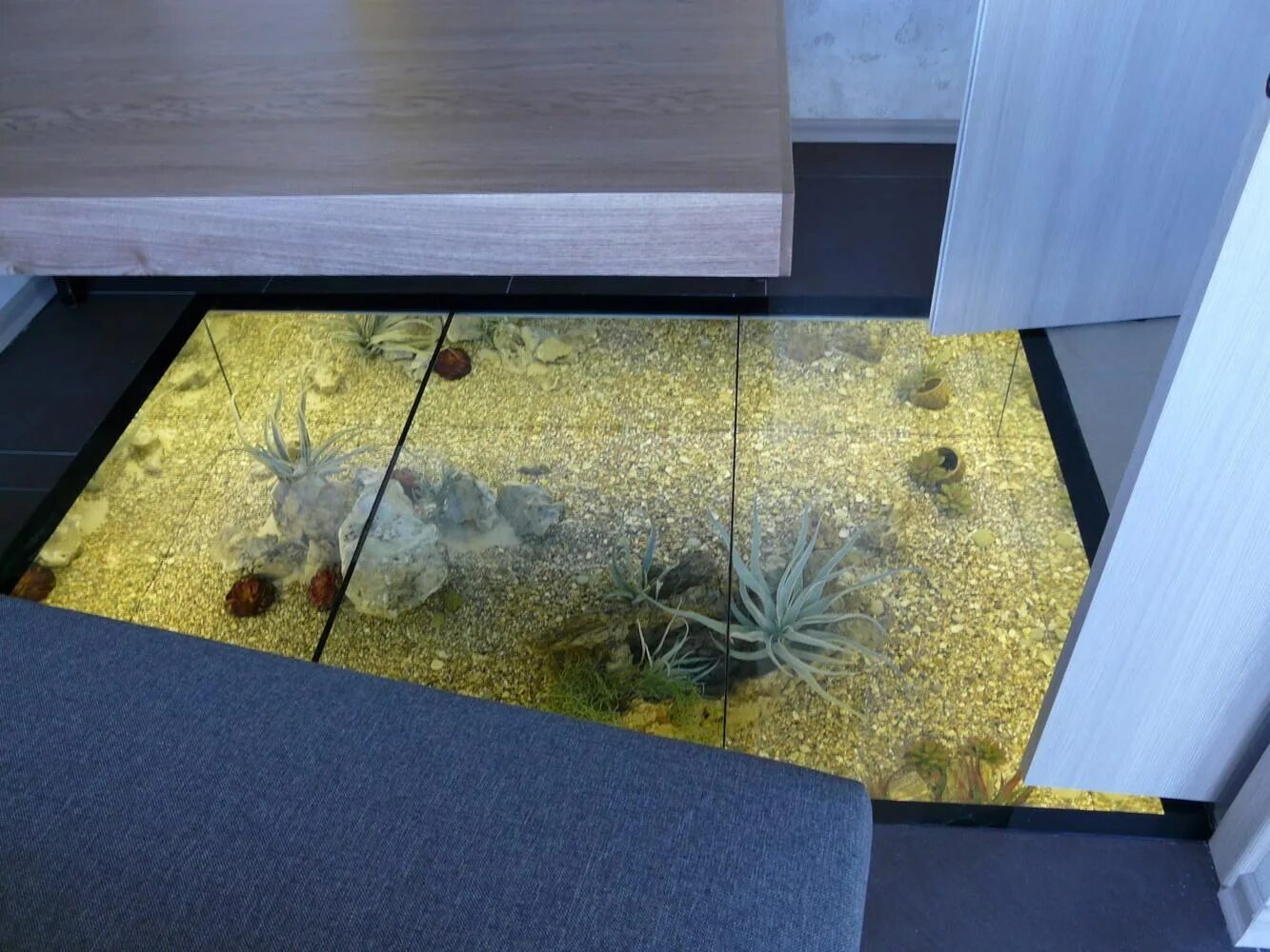 Сухой аквариум. Аквариум в полу. Аквариум в полу. Сухой аквариум в интерьере. Аквариум в полу.