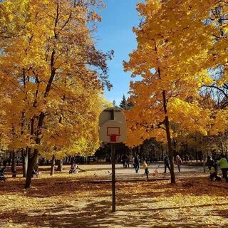 Парки курска