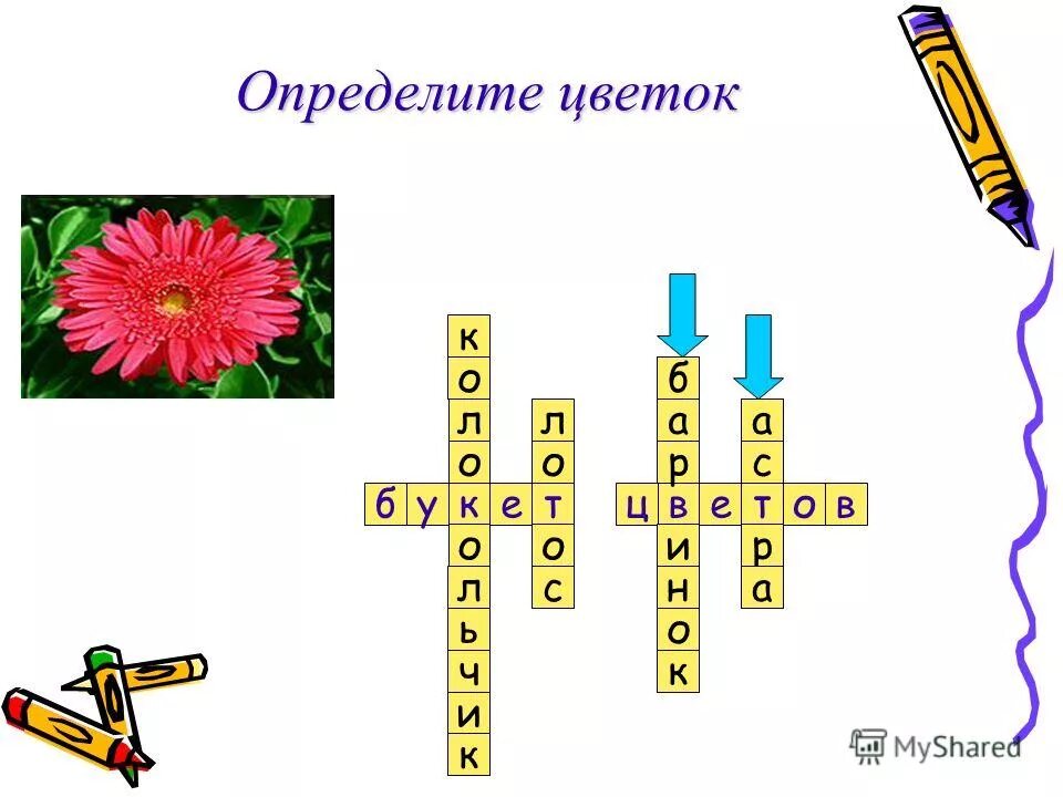 комнатные растения задания. игры на изучение цвета. цвета для дошкольников. какого цвета стрела. музыкальные игры для детей.