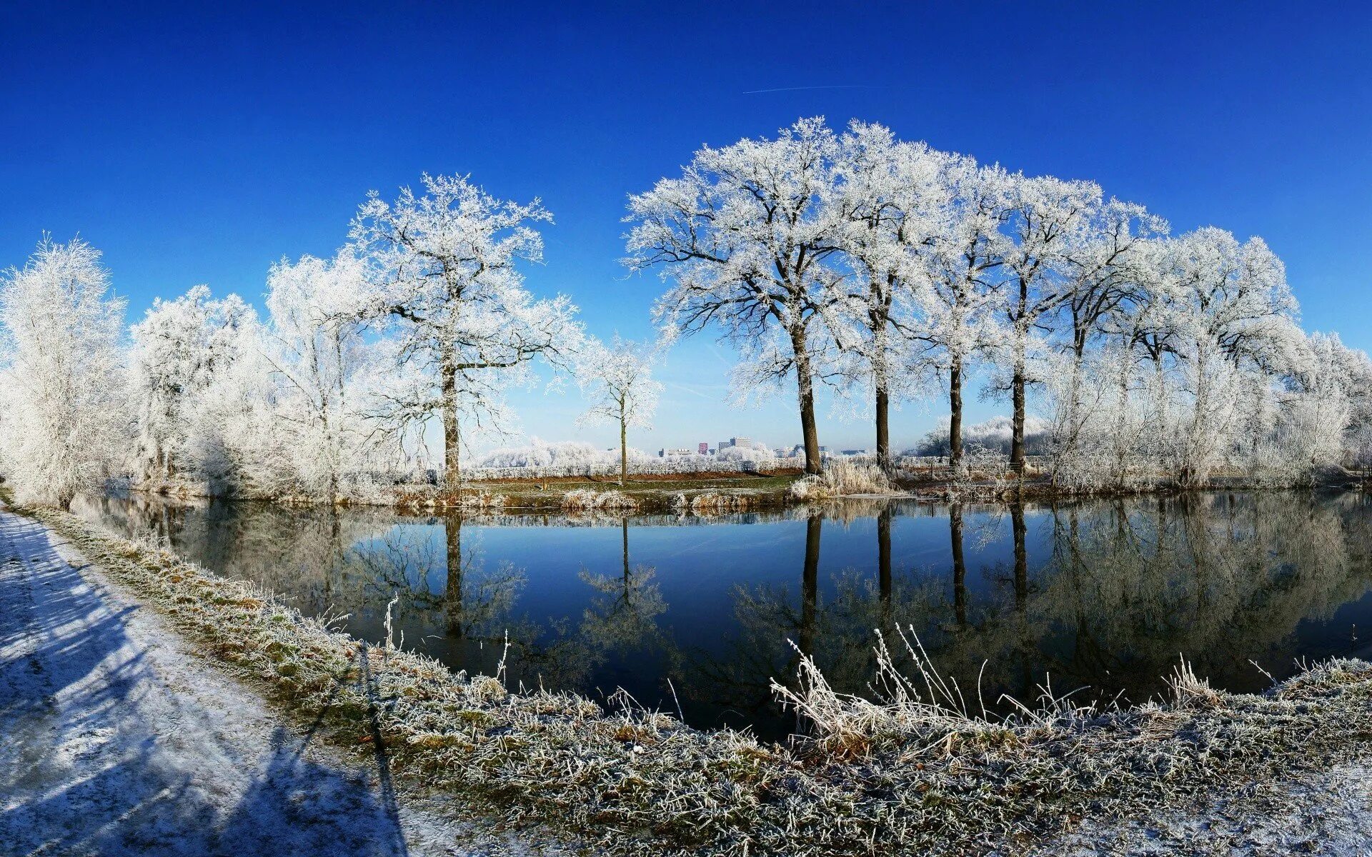 Фото март природа красивые