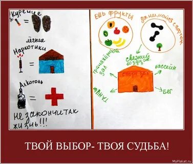 Твой выбор