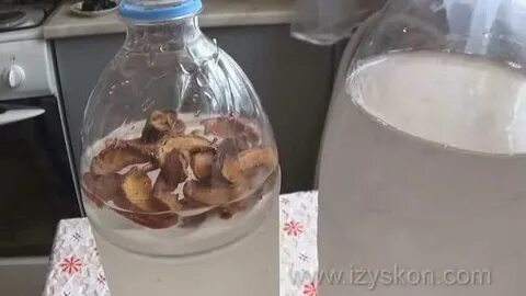 Березовик с квасом рецепт