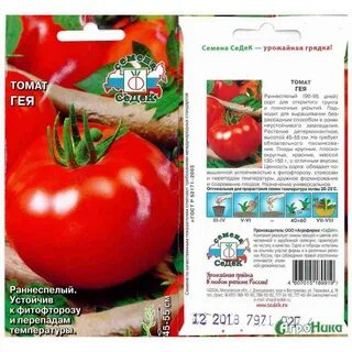 Томаты устойчивые к фитофторе для открытого грунта