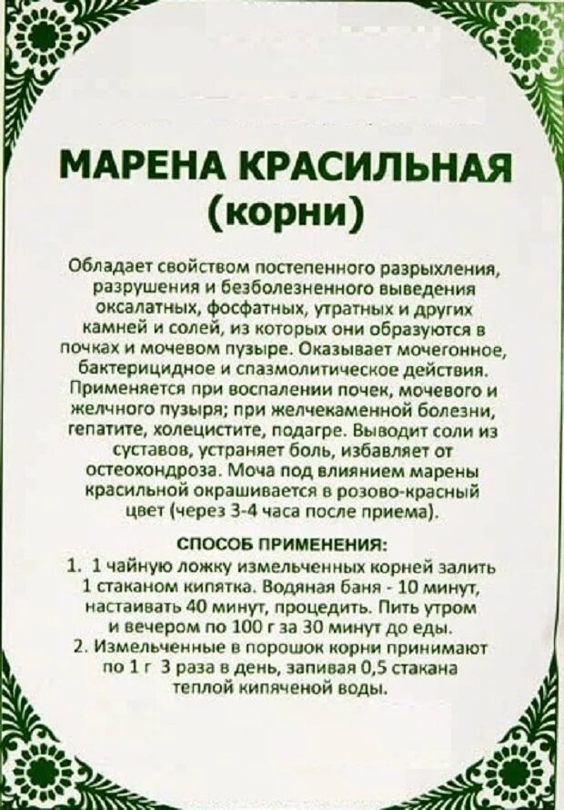 Трава марена красильная применение. Трава Марена красильная инструкция. Марена красильная лекарство. Марена красильная инструкция по применению. Корень Марены красильной.