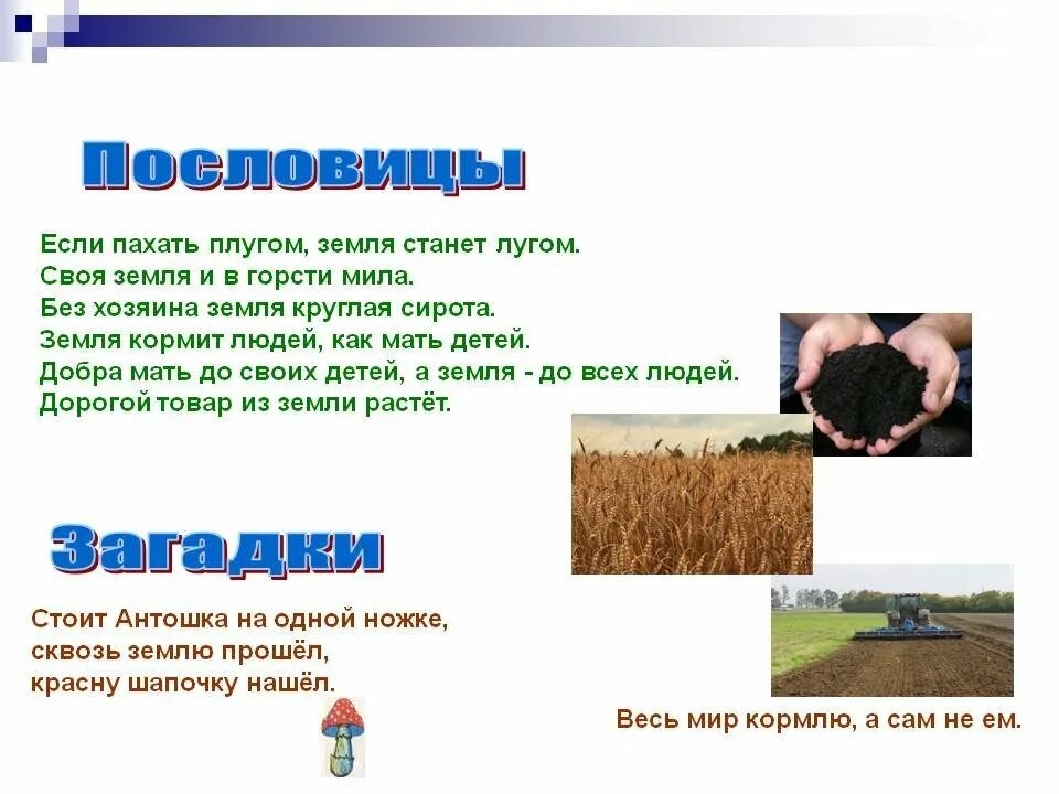 10 значений слова земля. 10 значений слова земля
