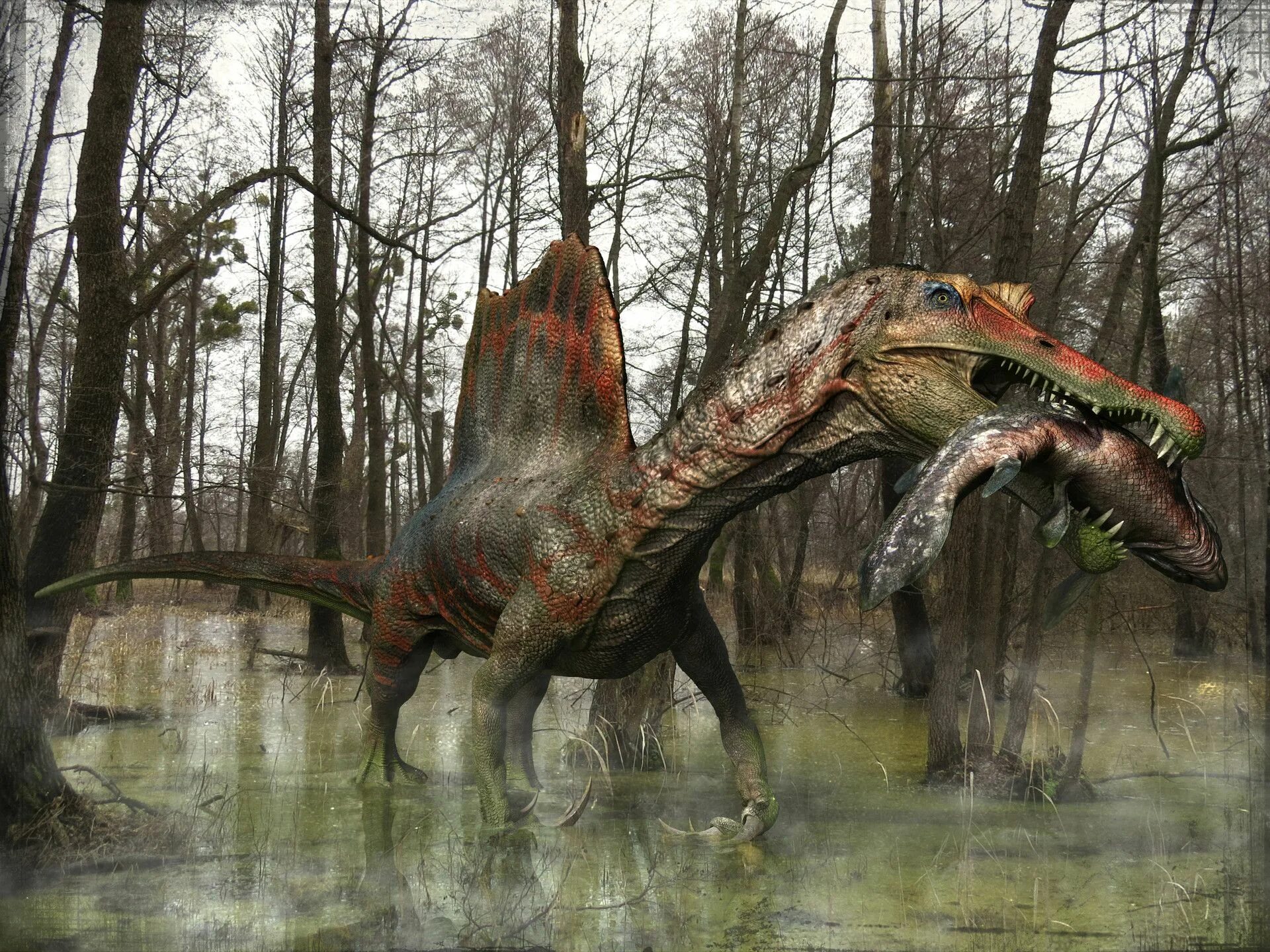 Спинозавр самый. Spinosaurus maroccanus. атучин спинозавр. динозавр спинозавр. спинозавр 2014.