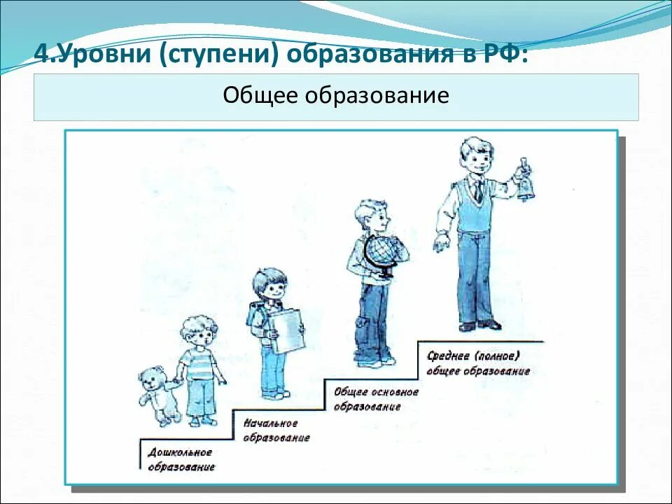 Ступени общего образования является. Ступени образования. ступени общего образования обществознание. ступени образования схема. ступени образования обществознание.