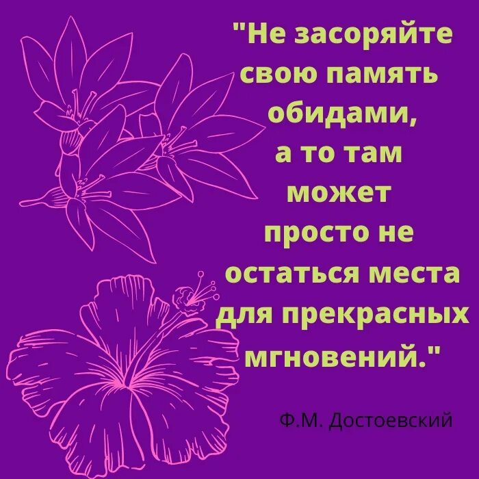 Прожить обидеть. Обида живёт в сердце глупых. Обида живет в груди глупых. Обида живет в сердце глупого Библия. Не спеши своим духом обижаться потому что обида живёт в груди глупых.